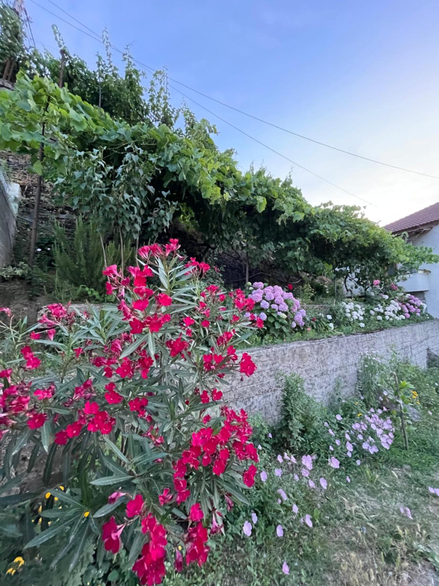 Elsa'S Villa Gjirokaster Exterior photo